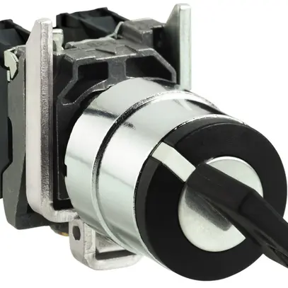 Interruttore rotativo INS Schneider Electric 1Ch 0-1 