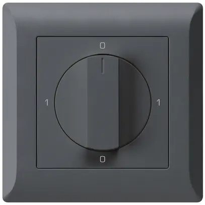 Interruttore rotativo INC kallysto.line 0/2L antracite con manopola 