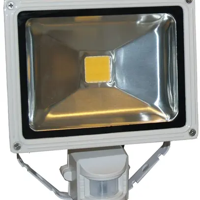 Projecteur LED 30W gris avec détecteur de mouvement 
