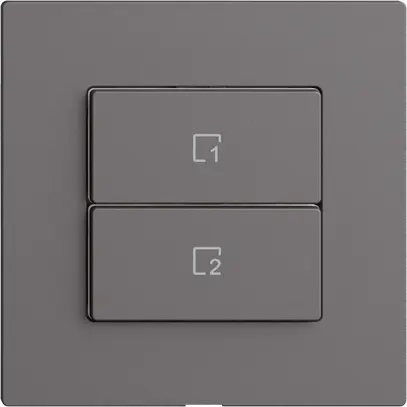 Pulsante scena 2 scene verticale/2T WLAN Edue Wiser grigio scuro 