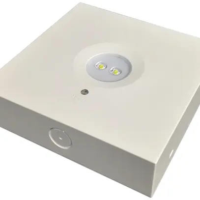 Spot anti-panico e per vie di fuga LED AL-P 2×1W, autonomia 1h, soffitto 