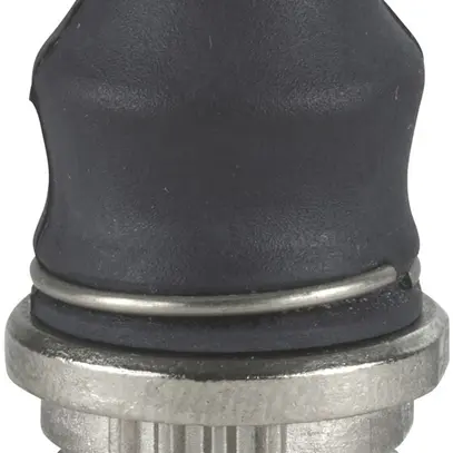 Bottone slittone Schneider Electric OSISWITCH ZCE 