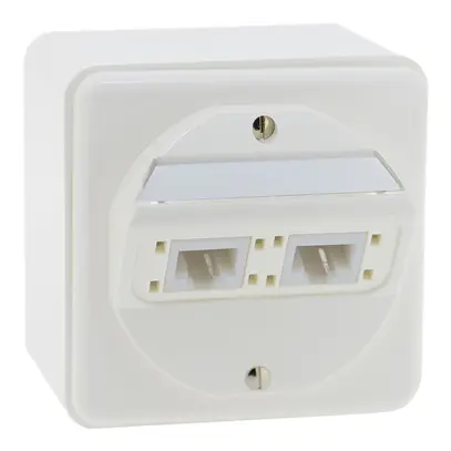 Prise AP CLASSIC 2×RJ45 blanc 