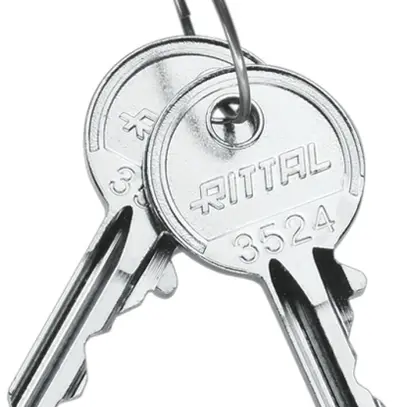 Clé Rittal SZ 2532.000 pour cylindre de fermeture 3524E 2pcs 