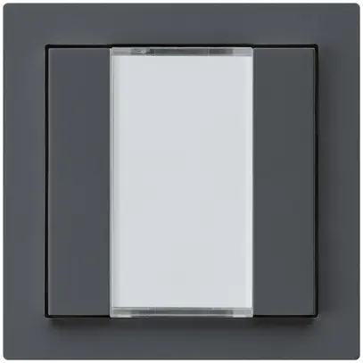 Tasto INC kallysto A KNX 2× s/e-link antracite 