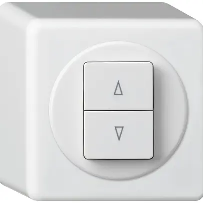 Interrupteur pour stores AP basico blanc avec 2 touches bornes enf. 