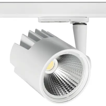 Projecteur LED Beacon Minor LED II LS1 10W 916lm 840 25° blanc 