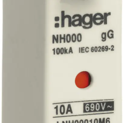 Fusibile HPC Hager DIN00 690VAC 100A gG/gL segnalatore doppio inossidabile 