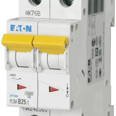 Disgiuntore PLSM-D25 2L 