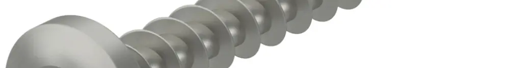 Vis pour panneau aggloméré Bettermann Panhead empreinte Torx 20 4×30mm A4 nue 