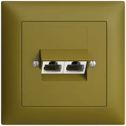 Prise ENC 2×RJ45/u 4P sép.EDIZIOdue olive ITplus 