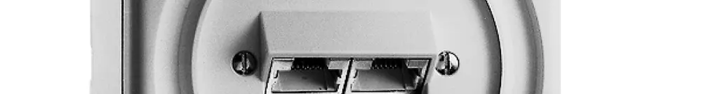 Scatola di raccordo AP NAP 2RJ45 SEP grigio chiaro 