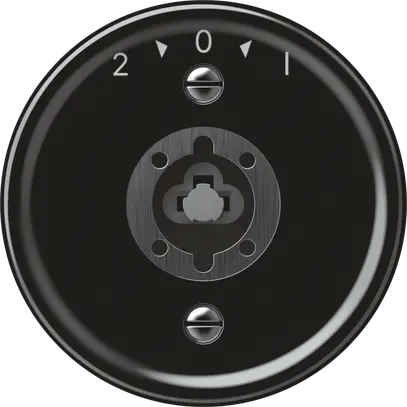 Pulsante rotativo origin senza cilindro 1P 2>0<1 10A 230V 60×60mm nero 