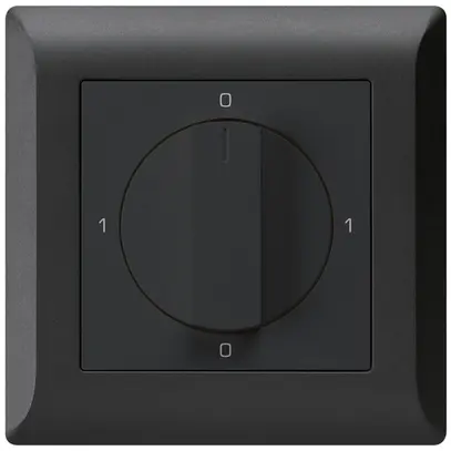 Interrupteur rotatif ENC kallysto.line 0/1L noir avec manette 