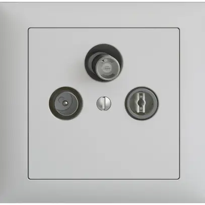 Prise d'antenne INC SAT/TV/R DB53 EDIZIOdue gris clair, avec SAT-F 