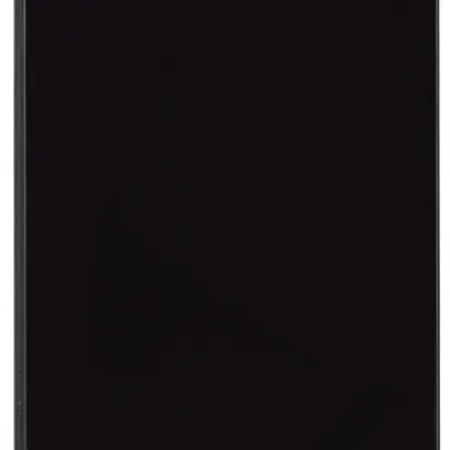 Module de contrôle d'accès LINEA 5000 écran interphone 18…27VDC noir 