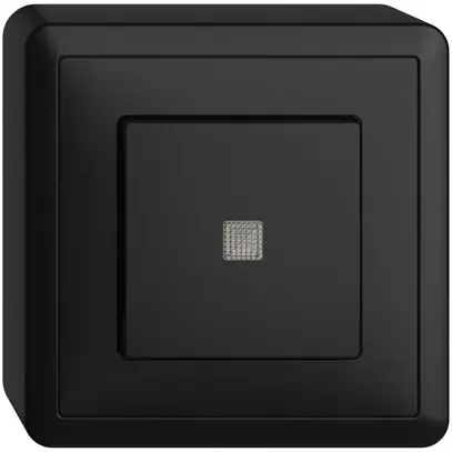 Interrupteur poussoir lum. AP EDIZIOdue 3/2L noir, lentille LED jaune 