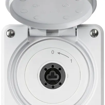 Contact pivotant à clé ENC robusto IP55 blanc avec clapet sans cylindre 2P 