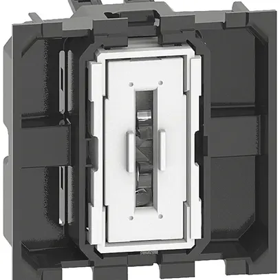 Interruttore Living Now sch 0 2 moduli con morsetti ad innesto illuminabile 10AX 
