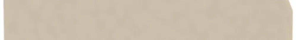 Parete d'estremità/intermedia Weidmüller ZAP/TW ZDU1.5/3AN 63.5×28.9mm beige 