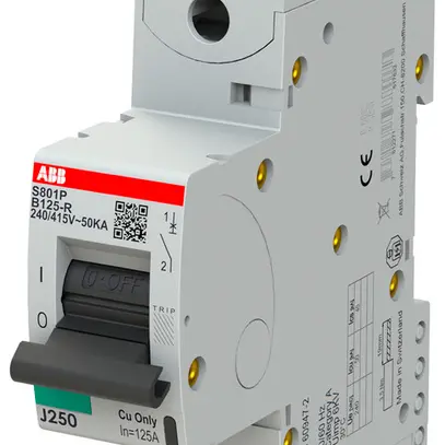 Disjoncteur ABB S801P-B125-R 1P 230V B-125A 50kA 1.5UM 