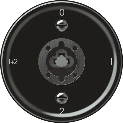 Interruttore a chiave origin comm.serie 1/1L 16A 250V 0-1-2-1+2 60×60mm ne 