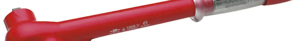Chiave dinamometrica CIMCO 3/8" 5…50Nm 