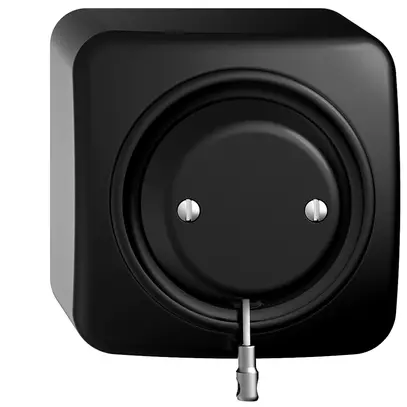 Interrupteur à tirage AP STANDARDdue noir 16A 250V 