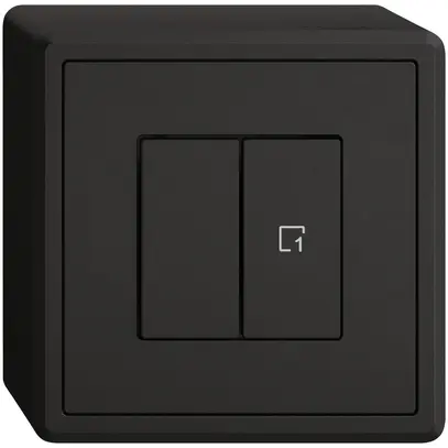 Interrupteur à poussoir AP EDIZIO.liv Wiser SNAPFIX® 1 scène 2 touches WLAN no 