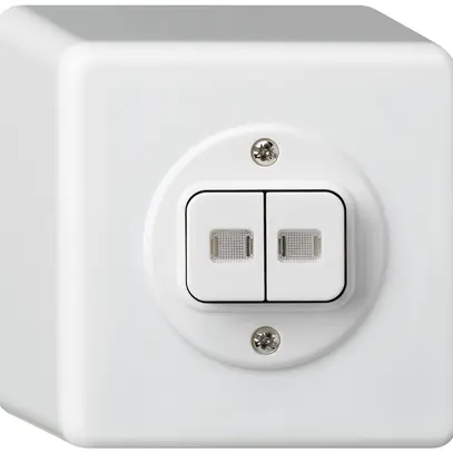 Pulsante luminoso AP basico 2×AR/1L bianco 
