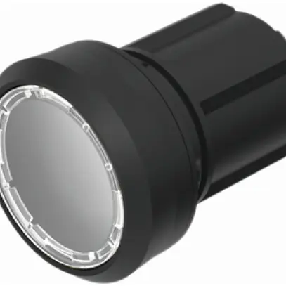 Interruttore INS EAO45, R, trasparente, illum., anello nero, a filo 