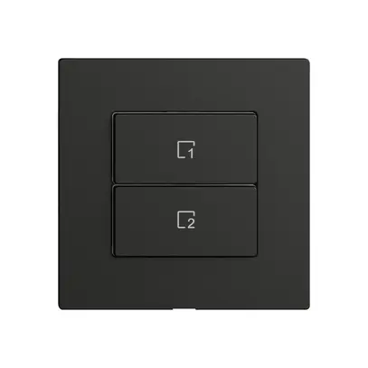 Commande pour poussoir scènes EDIZIOdue Wiser 2 scènes 2t no 