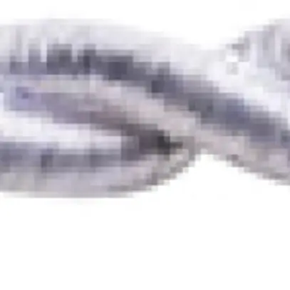 Câble textile Roesch, 3×0.75mm², PNE torsadé, brins séparables, blanc 