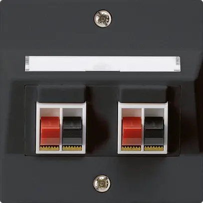Prise ENC audio kallysto 2-fois noir borne à étrier pour 2 haut-parleurs 
