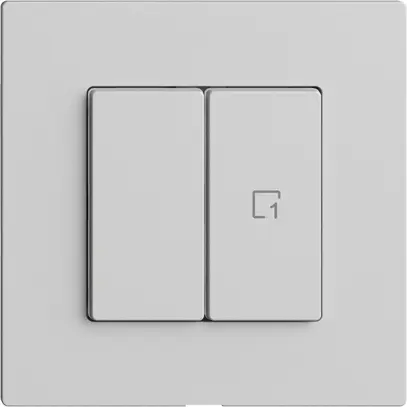 Interrupteur 1K/2T scène Edue Wiser gris clair 