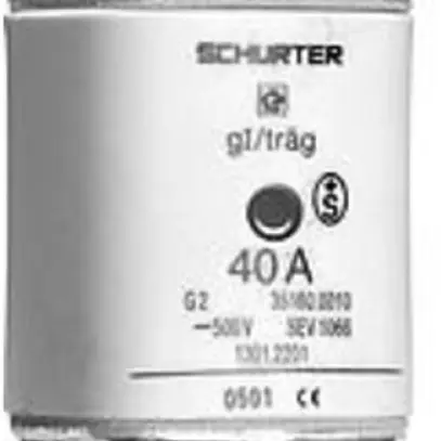 Fusible HPC G2 80A 500V gG 