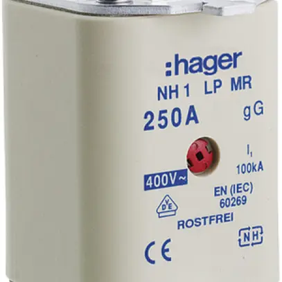 Fusible HPC Hager DIN2 400VAC 224A gG/gL avertisseur double antirouille 