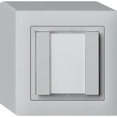 Poussoir universel AP 2×kallysto avec LED gris clair 