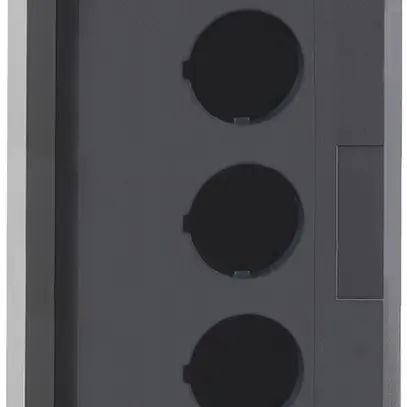 Scatola di comando AP Schneider Electric 5 elementi grigio chiaro 
