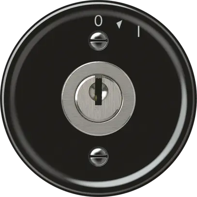 Pulsante rotativo origin con cilindro 1P 0<1 10A 230V 60×60mm nero 