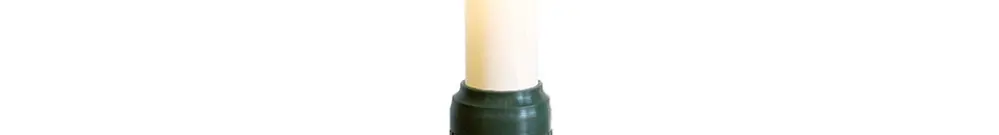 Guirlande lumineuse LED MK, 30 pièces E14, tige vert/blanc 