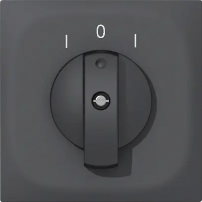 Pulsante rotativo INC SIDUS E 2CL antracite 