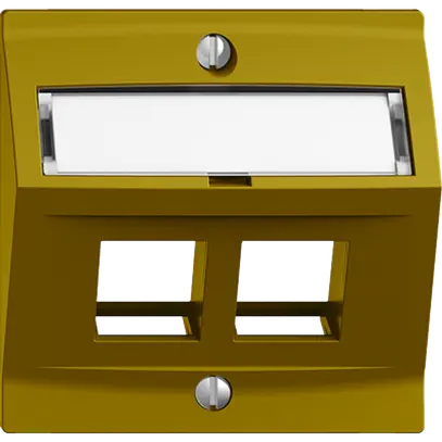 Kit de montage EDIZIOdue F, avec capot de sortie oblique, pour 2×Keystone, olive 