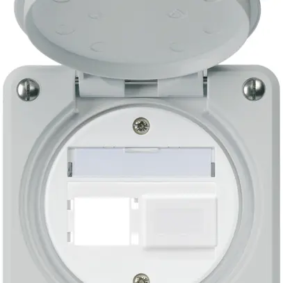 Kit de montage robusto IP55 sortie frontale pour 2×R&M gris 