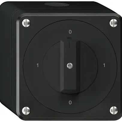 Interrupteur rotatif AP robusto IP55 schéma 0/1P noir 