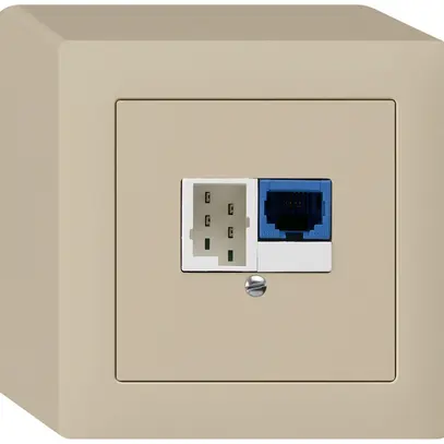AP-Dose DSL 1×RJ45/1×T+T beige 
