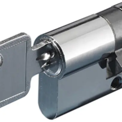 Insert pour cylindre de sécurité Rittal SZ 9785.042 pour manches 2pcs 