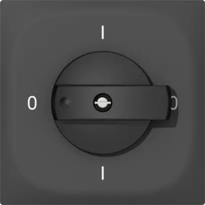 Interrupteur rotatif ENC SIDUS E 0/3L anthracite 