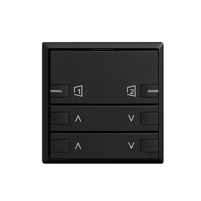 Plaque frontale EDIZIOdue zepAIR moteur 2C S1/S2 avec LED noir 