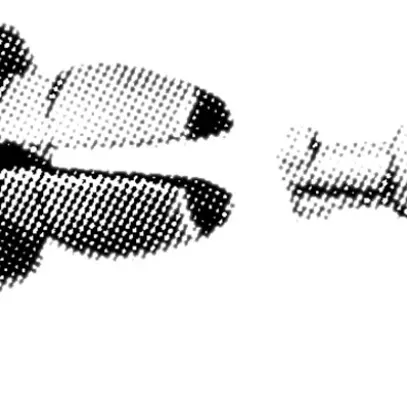 Bouton de fermeture rapide ASR gris 
